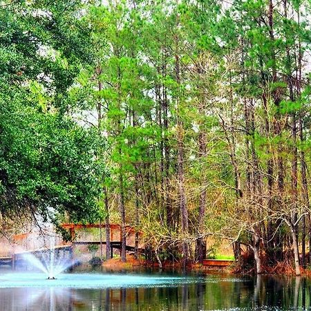 Waterfront Houston Hide Out In A Magical Forest Waller Exterior foto