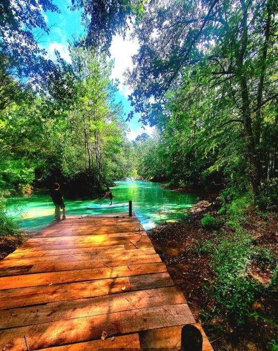 Waterfront Houston Hide Out In A Magical Forest Waller Exterior foto